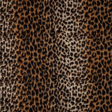 Brown Leopard Print Pashmina Cashmere Shawl