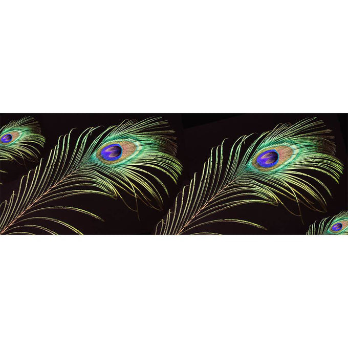 IMPERFECTLY YOURS: Peacock Print Superfine Wool Wrap