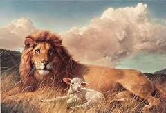 The Lion & The Lamb