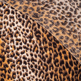 Brown Leopard Print Pashmina Cashmere Shawl