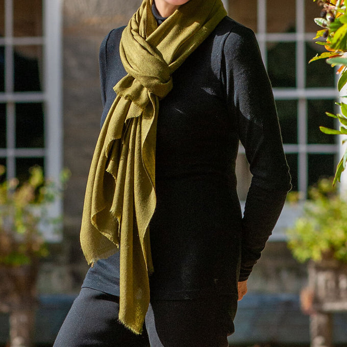 Olive Tree Cashmere and Silk Wrap