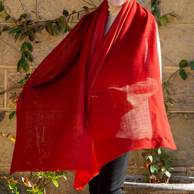 Birds of a Feather - The Pheasant Shaded Cashmere and Silk Wrap