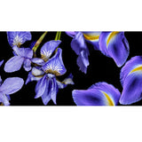 The Floral Trilogy - Blue Iris Cashmere and Silk Wrap