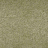 Military Green Gossamer Cashmere Shawl