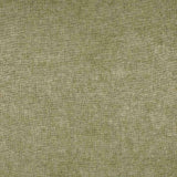 Military Green Gossamer Cashmere Shawl