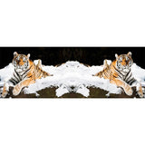 Cashmere and Silk Tiger Print Scarf