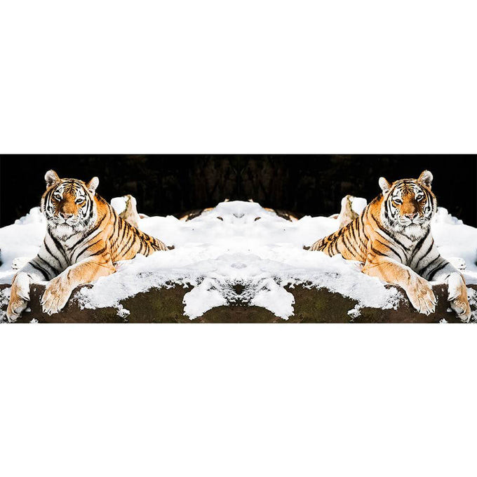 Cashmere and Silk Tiger Print Scarf